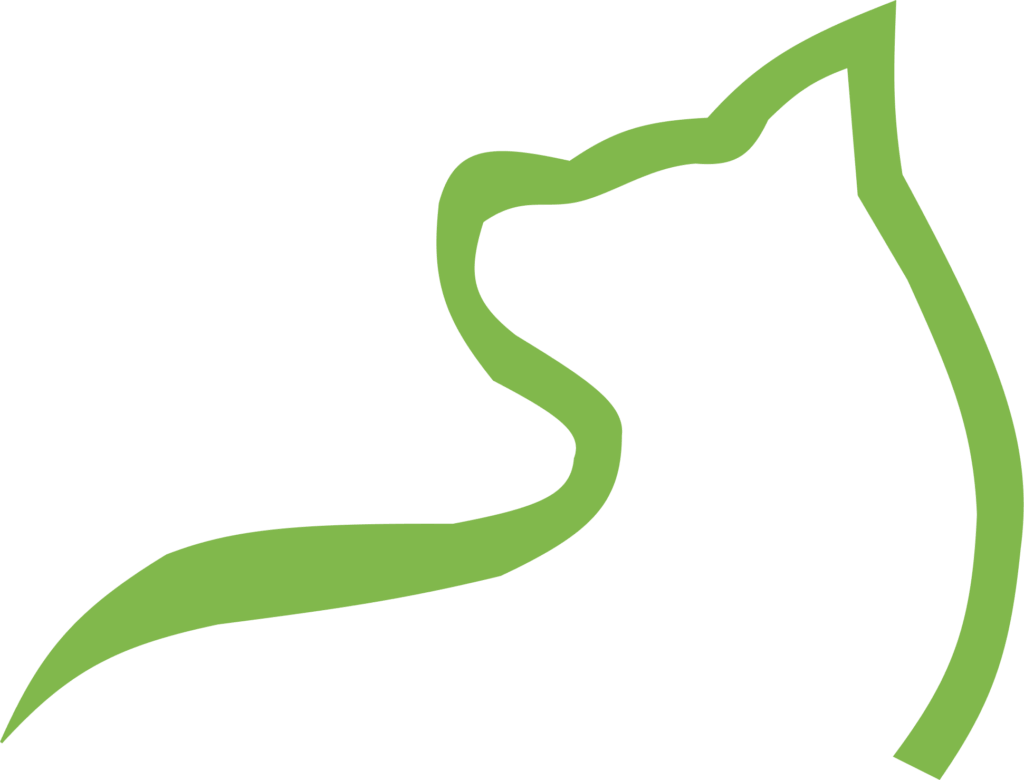 Simple green outline of a cat profile
